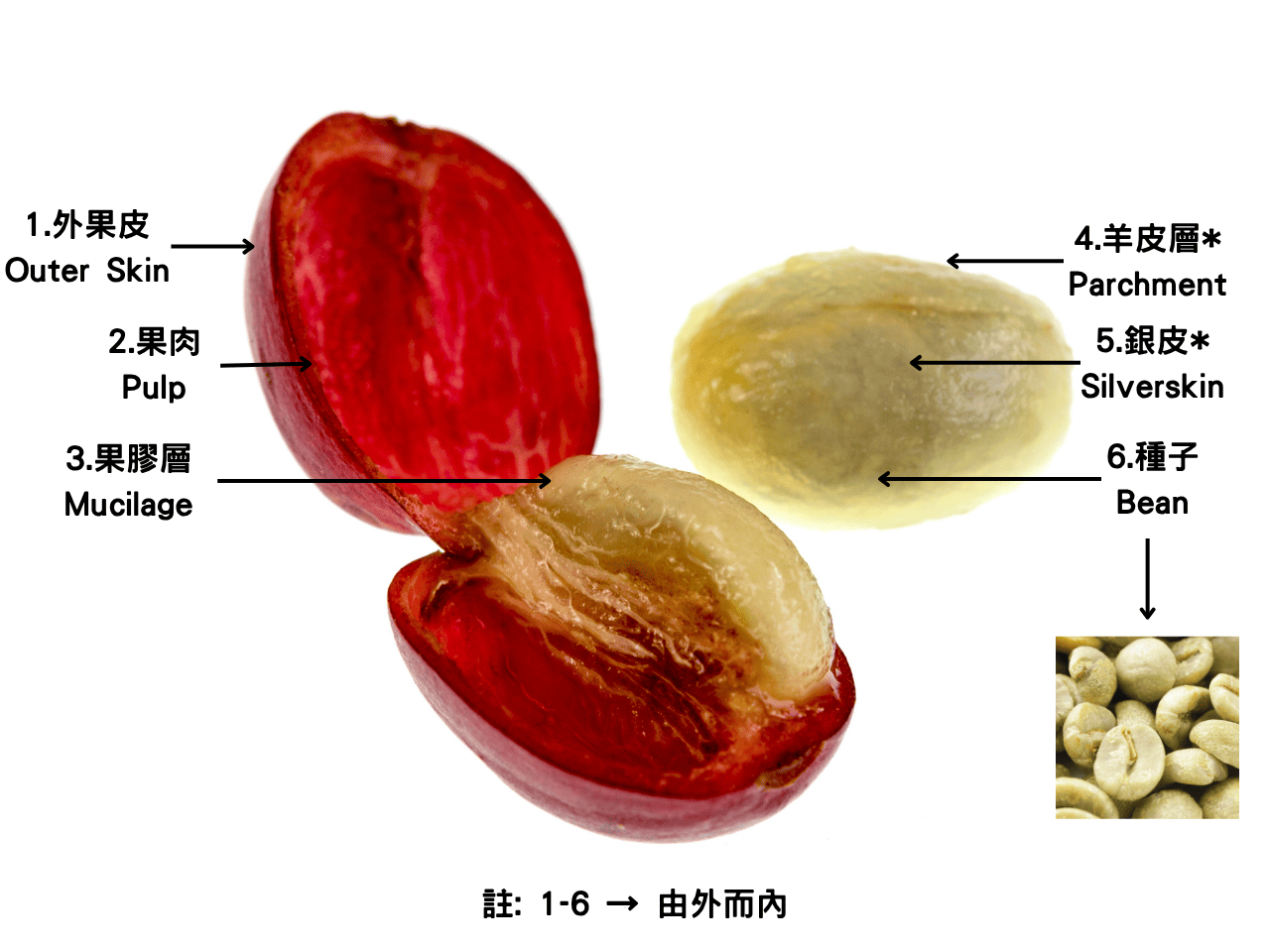 12种咖啡处理法介绍!水洗、日晒、蜜处理、厌氧