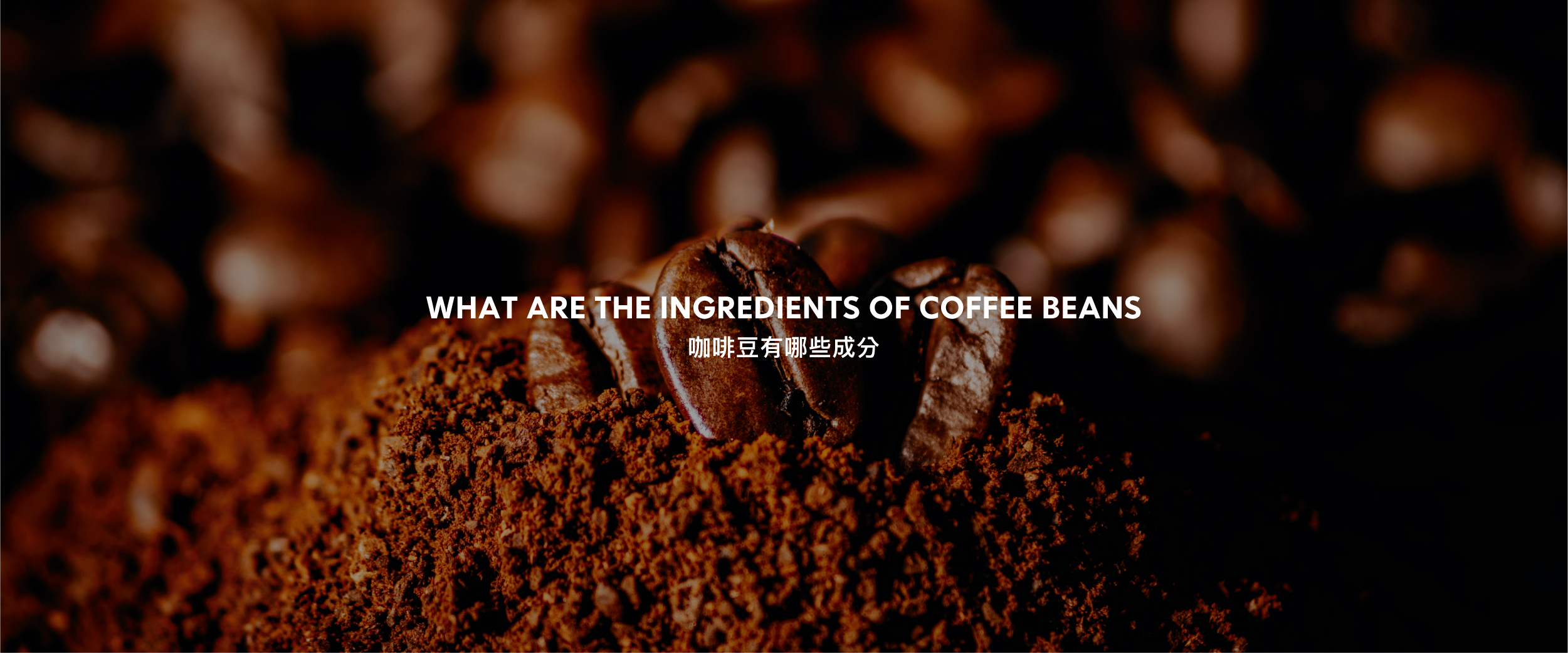 咖啡豆有哪些成分