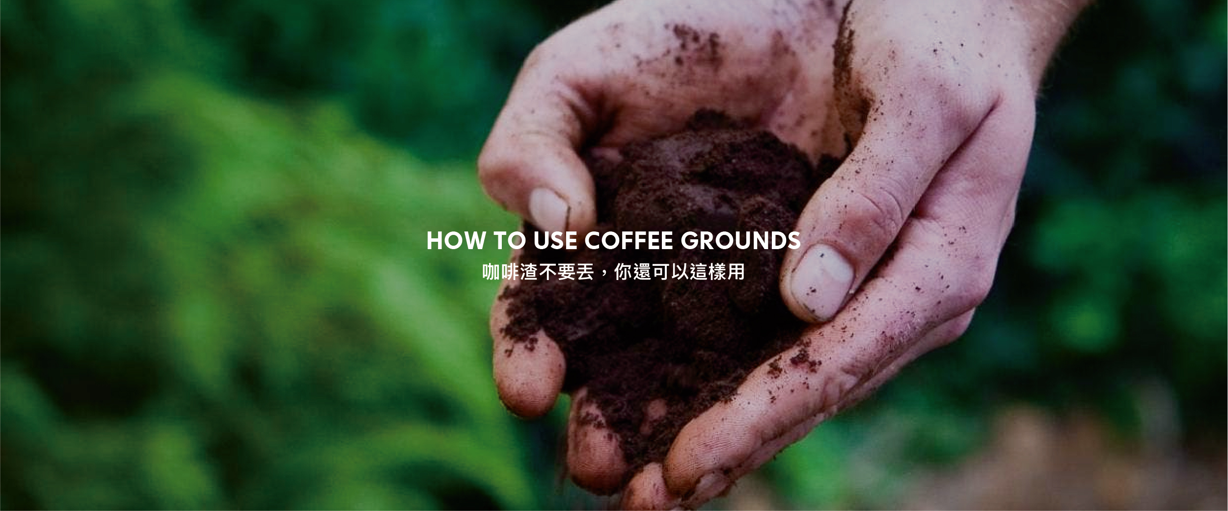 咖啡渣不要丢，你还可以这样用？